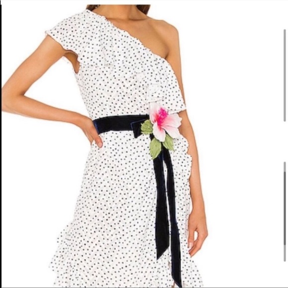 NWT Marianna Senchina One Shoulder Polka Dot Dress s missing flower belt - Picture 4 of 11